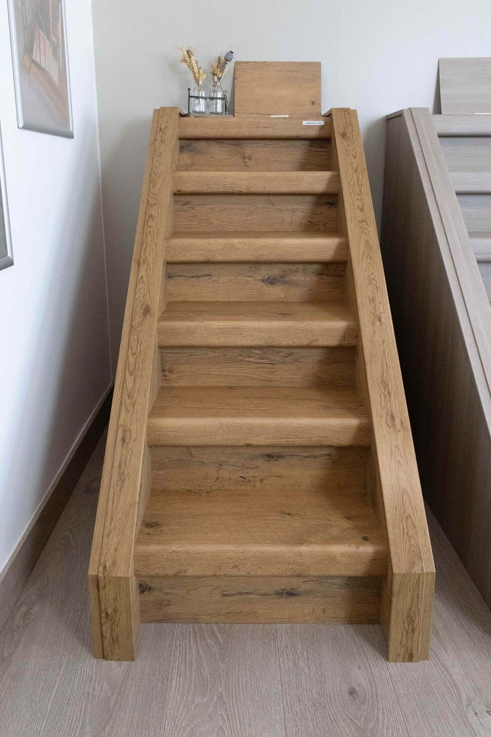 IMG_7281_Lancelot Oak